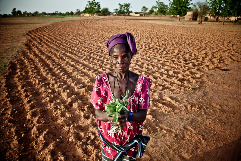 Technical Brief: Land Rights In The Post-2015 Agenda