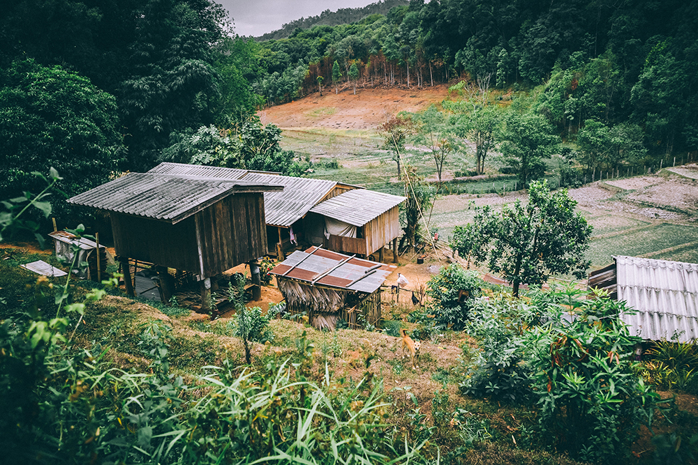 From Aspiration To Transformation: Taking Stock Of Commitments And Initiatives To Secure Indigenous And Community Land Rights